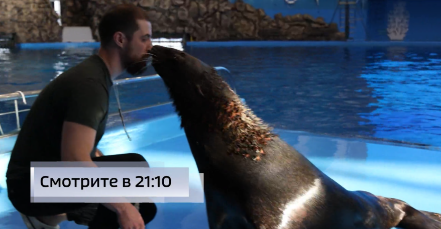    Источник фото: