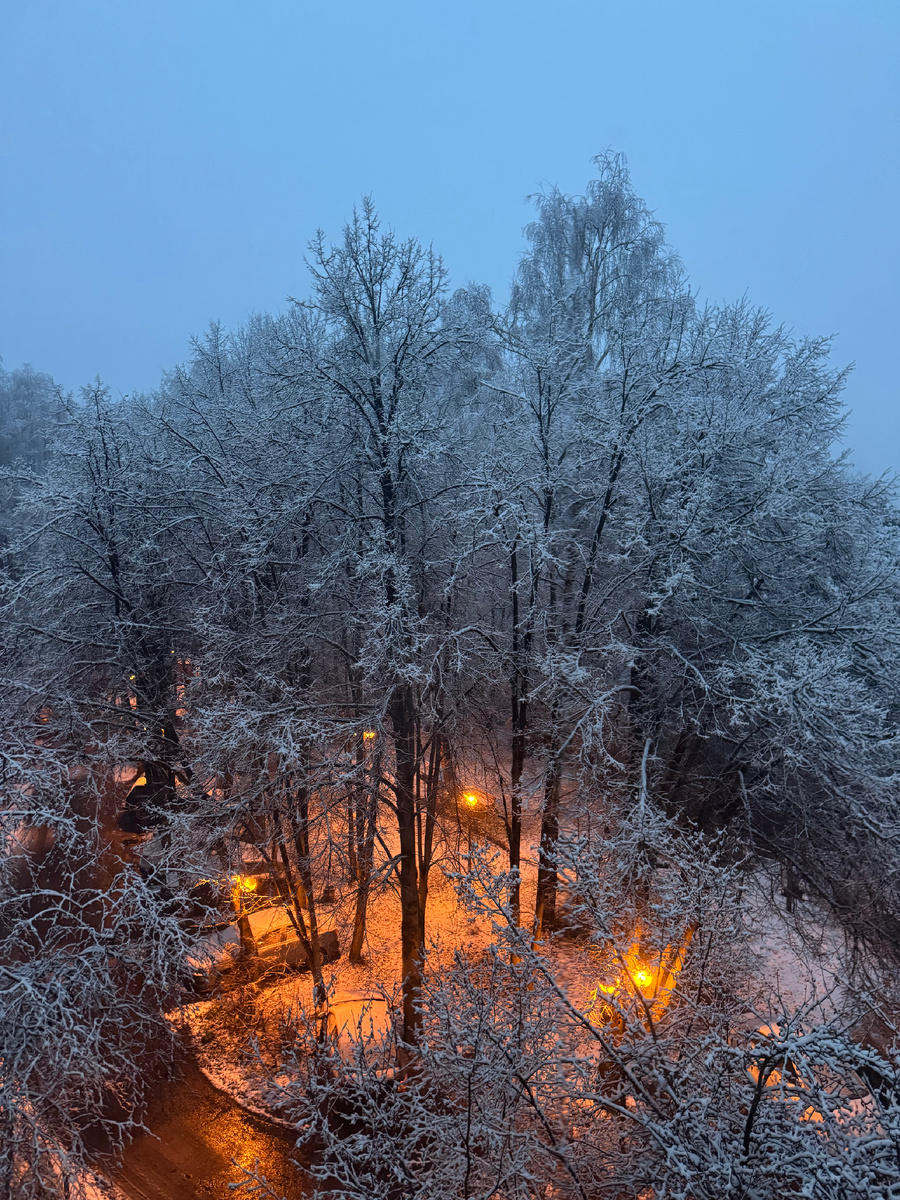 Фото автора вид из окна 