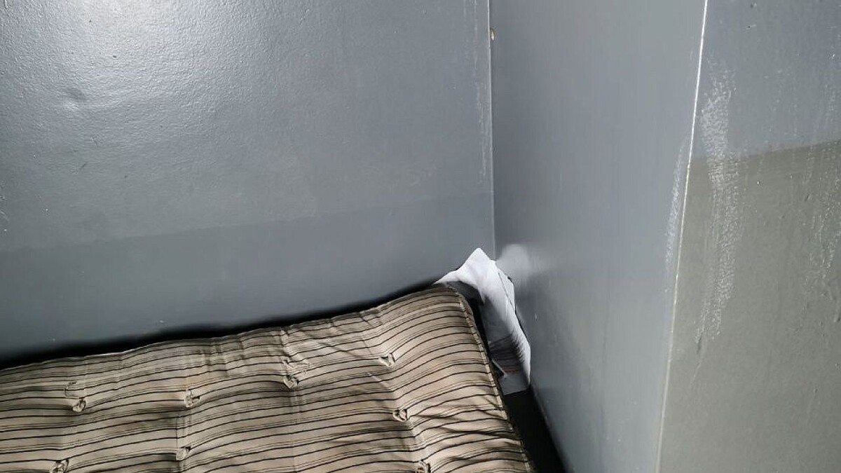    Фото: телеканал «Краснодар»