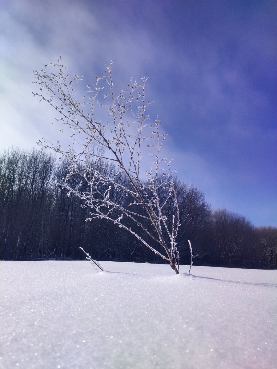 Личное фото