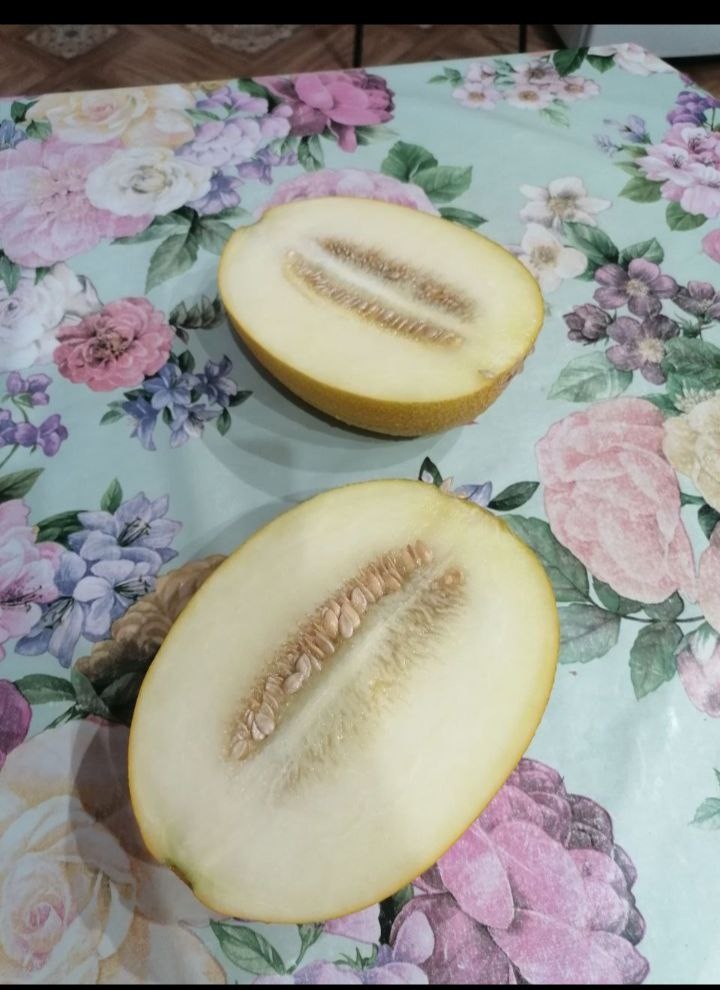 Дыня Алтайская