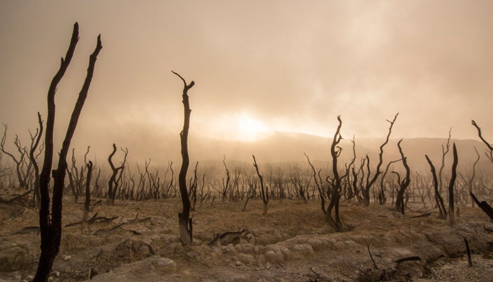 Регионы провалили проверку и не готовы адаптироваться к изменениям климата