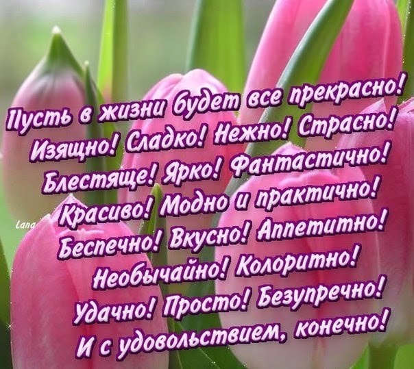 Яркое пожелание 💐Картинка из интернета 