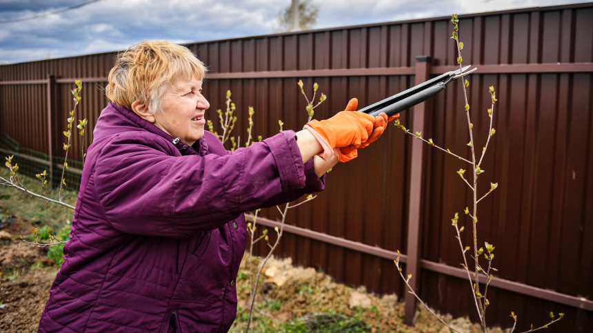    Фото: © РИА Новости/Владимир Песня