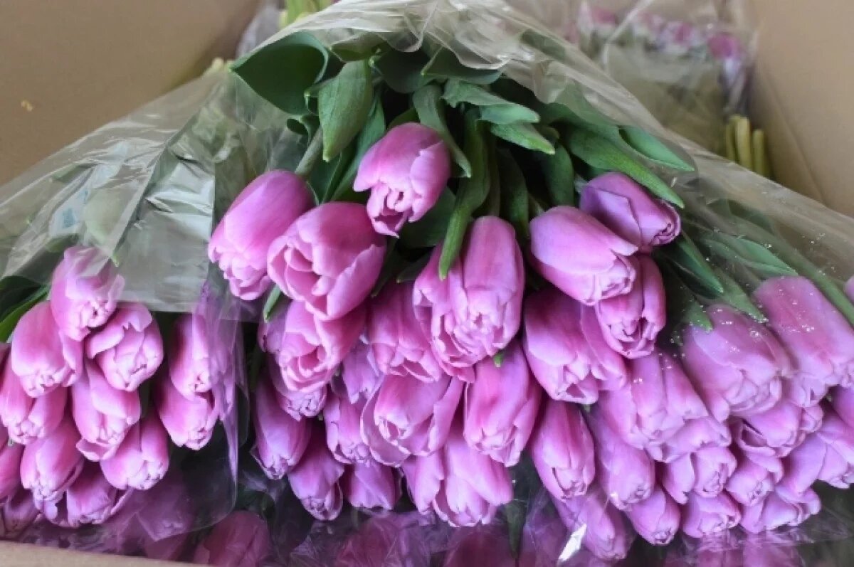    В Хабаровский край и ЕАО к 8 марта привезли тысячи тюльпанов из Китая