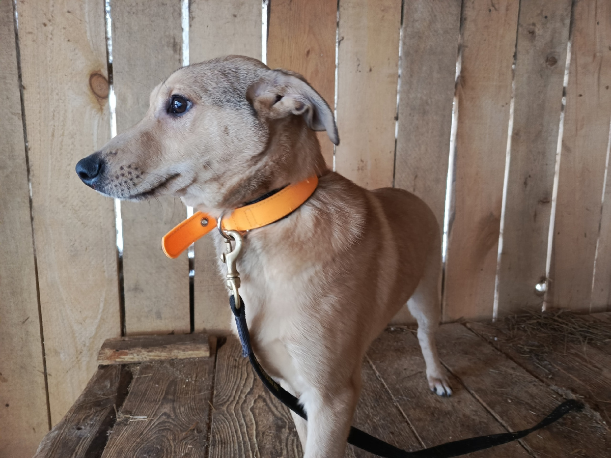 В их глазах уже нет той детской радости.