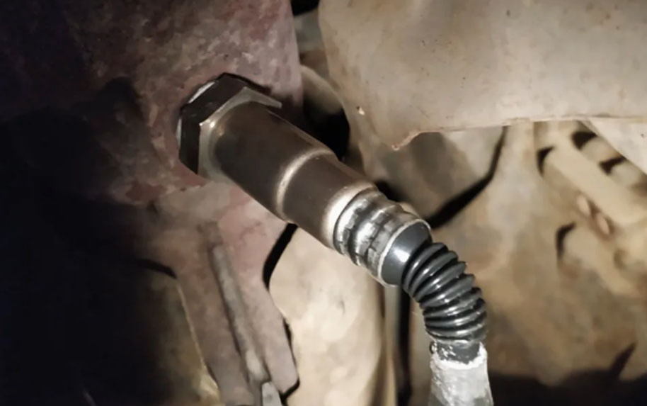 Фото: источник https://clck.ru/3SJXVV