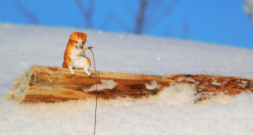    автор Вячеслав Вольгин