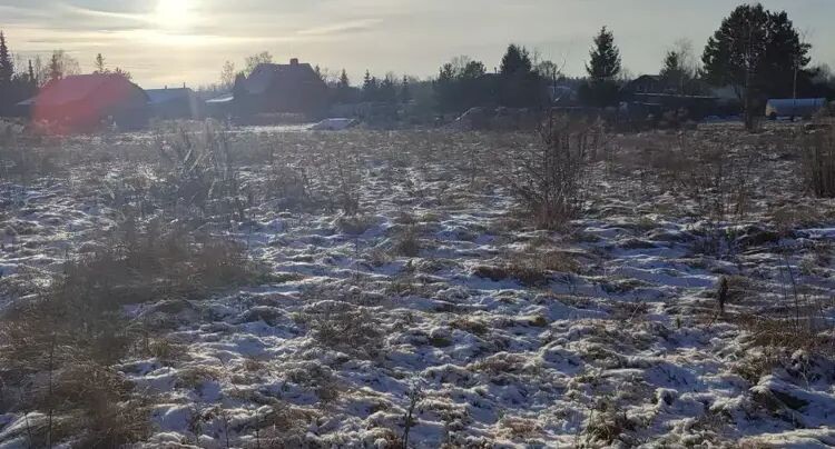    Участок на торгах в Подмосковье / Единый портал торгов Московской области ЕАСУЗ