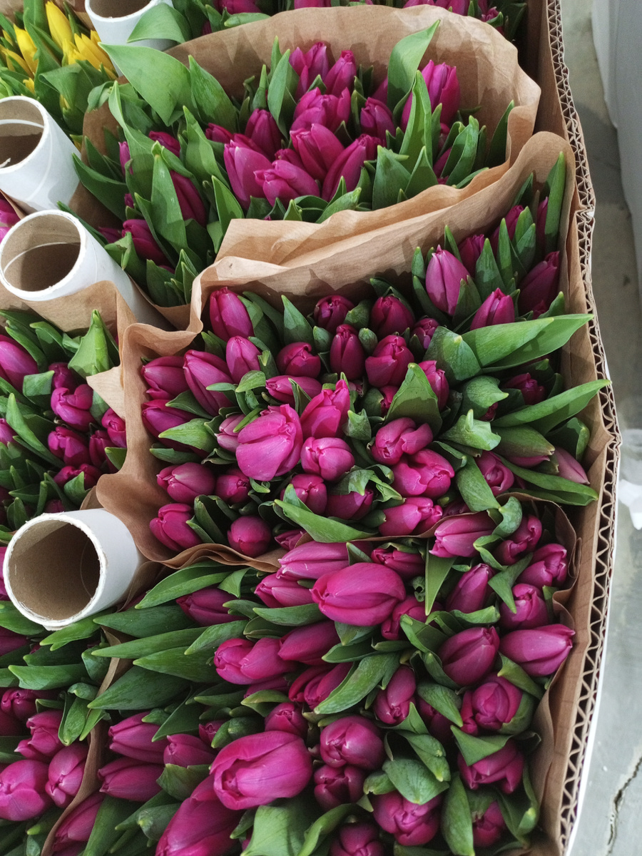 Цветочки конечно любые красивые