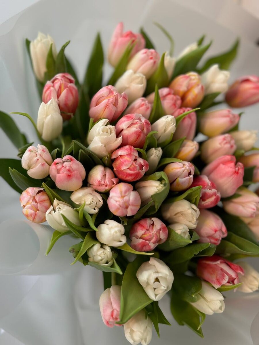 Вот такая красота