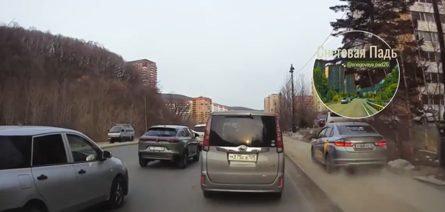    Источник фото: Телеграм-канал "Снеговая падь"