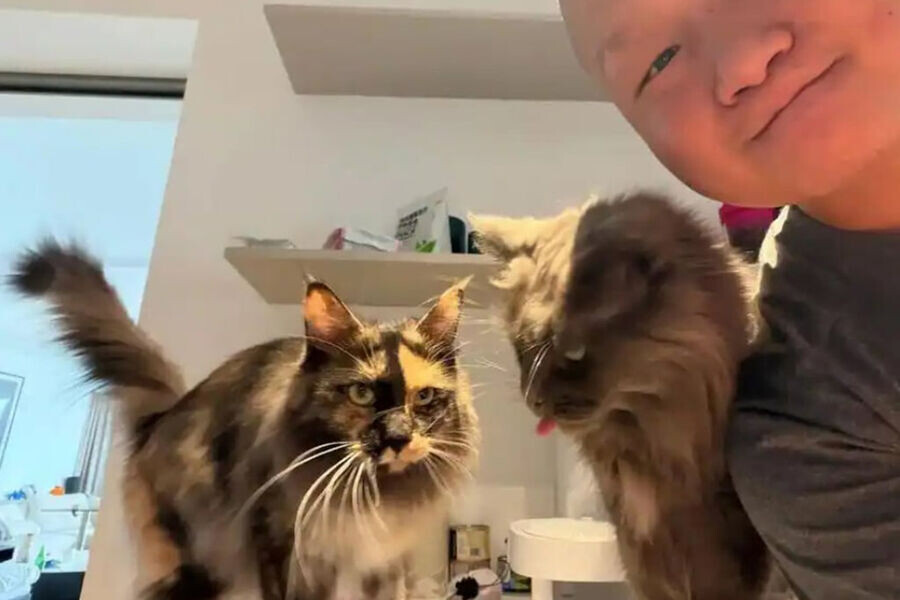    Фото: соцсеть Douyin