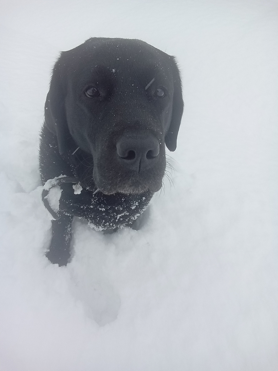 Фото автора. 