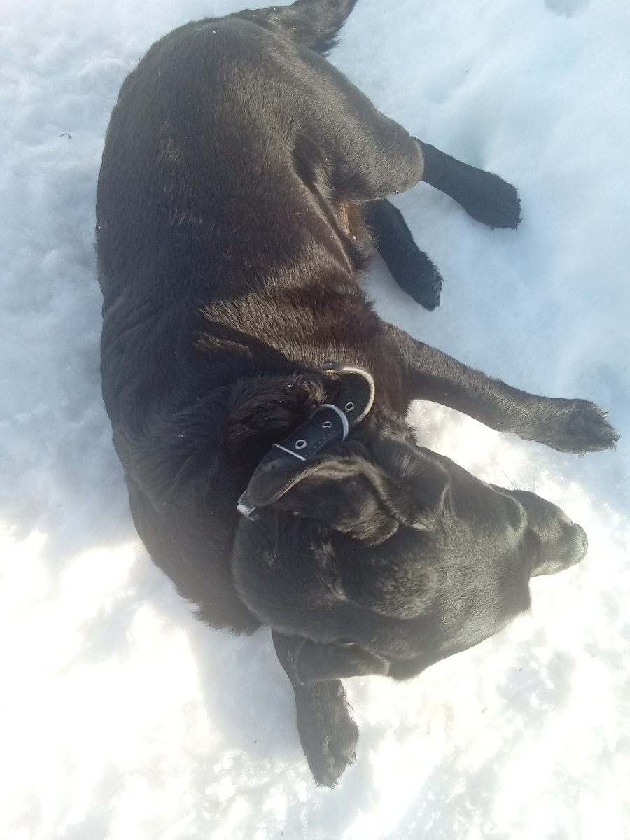 Фото автора. Меня тоже учили через "на бок!"