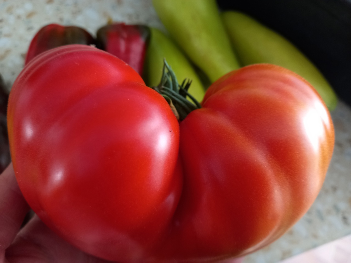 Каких только "уродцев" у меня не вырастает, но все - вкусные