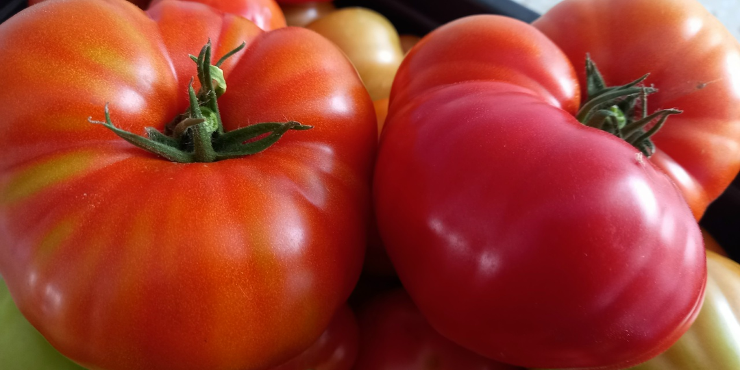 Зачем я выращиваю "свои" помидоры, если дешевле купить, в чём выгода (и есть ли она)