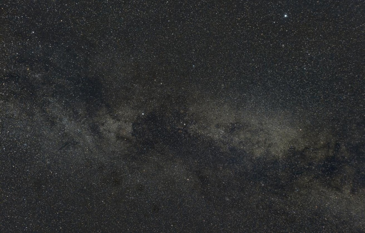 Фото: Роман Канащук/ ТАСС  📷
