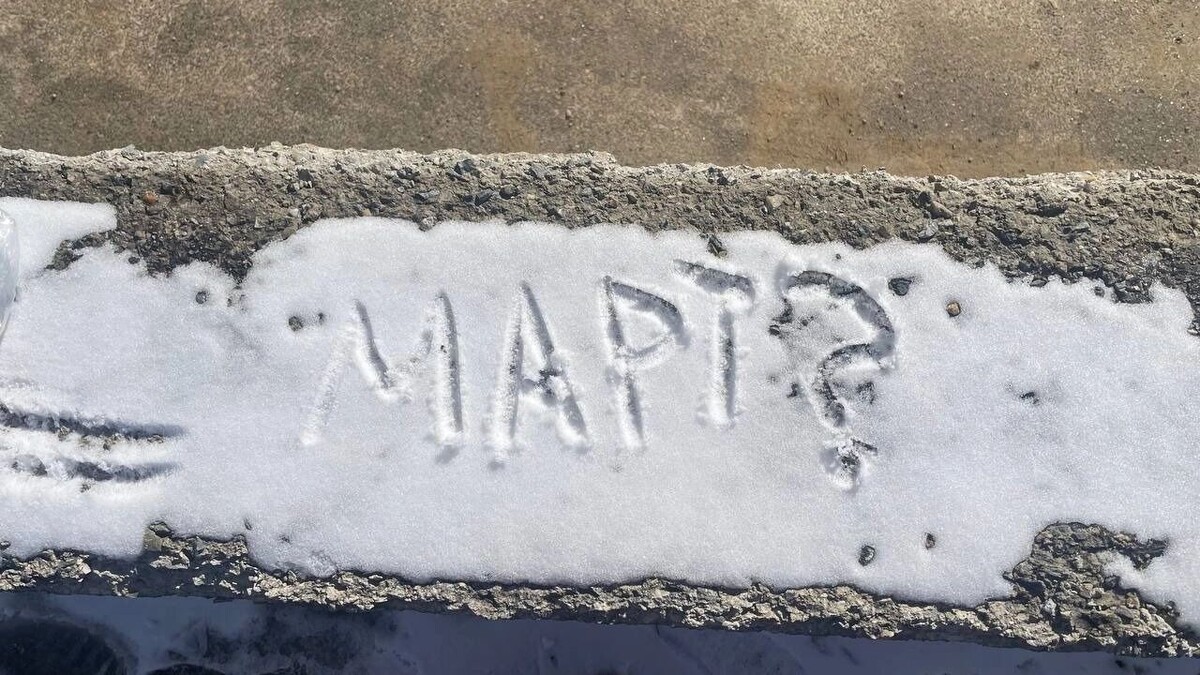    До -11 похолодает в Ростове-на-Дону после 8 Марта   rostovgazeta.ru