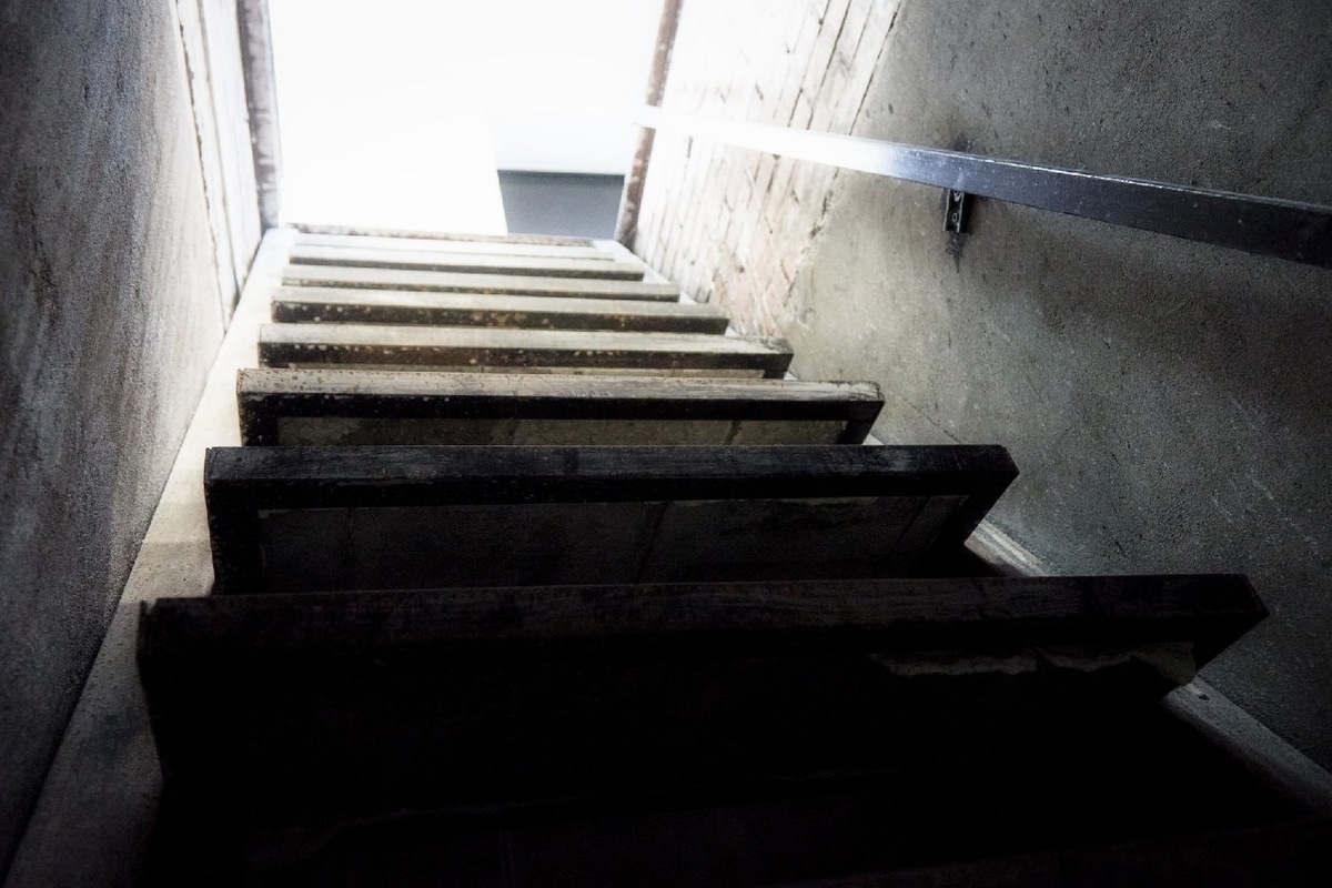    Фото: iStock/Aleksandr Zyablitskiy