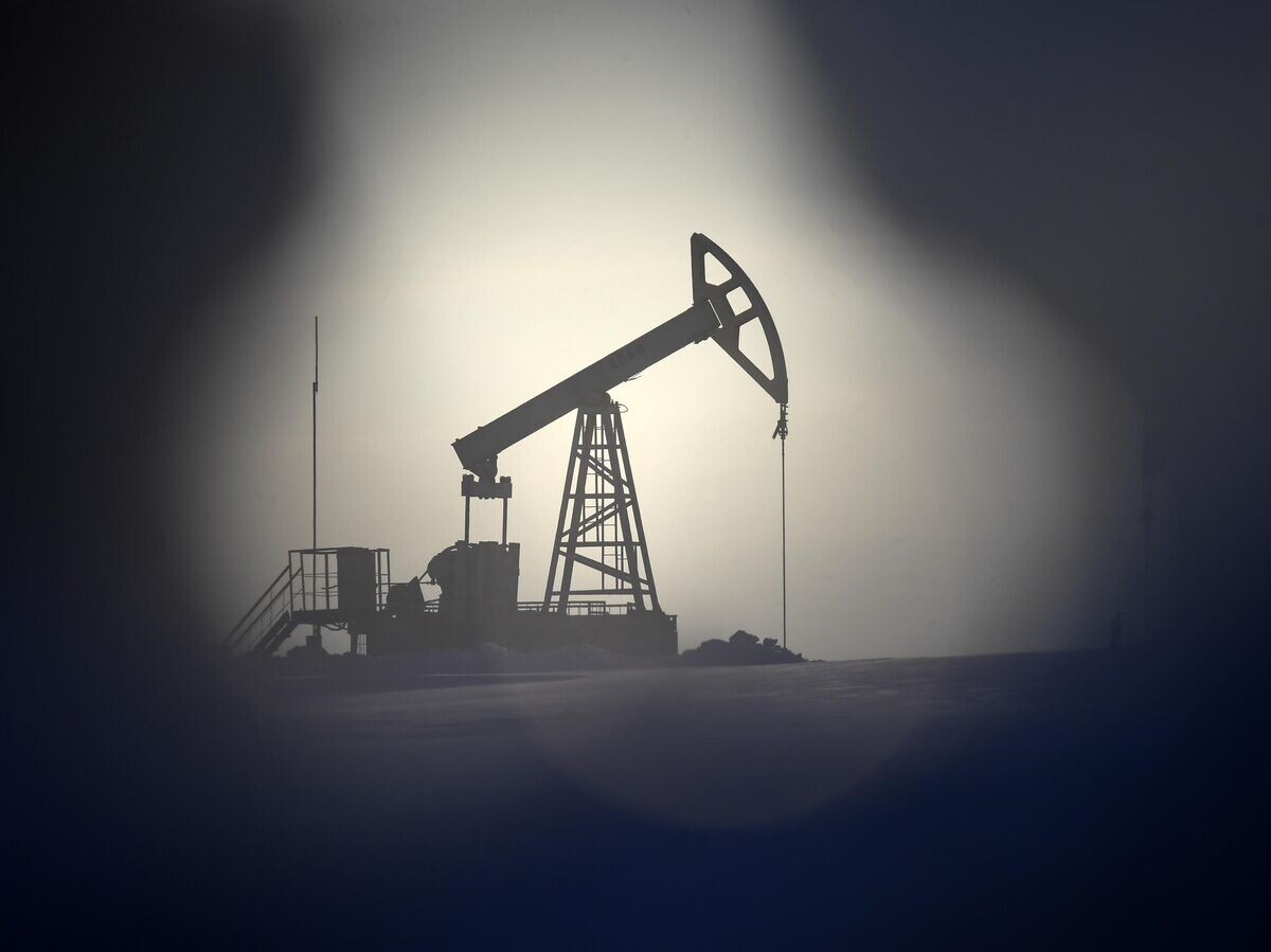    Нефтяная качалка в Альметьевском районе Республики Татарстан© РИА Новости . Максим Богодвид