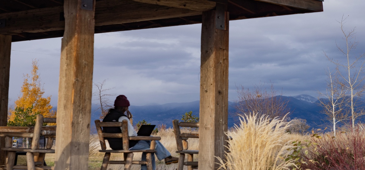Фото SpaceX/Sralink  📷

