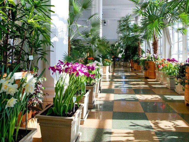    Фото: пресс-служба департамента культуры города Москвы