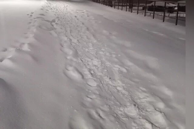    Перекрытие дорог в Оренбуржье. Где узнать актуальную информацию?