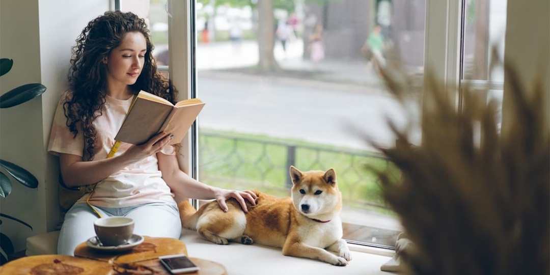 Юрист о дог-френдли кафе: «Законно, если соблюдены 3 ключевых условия»