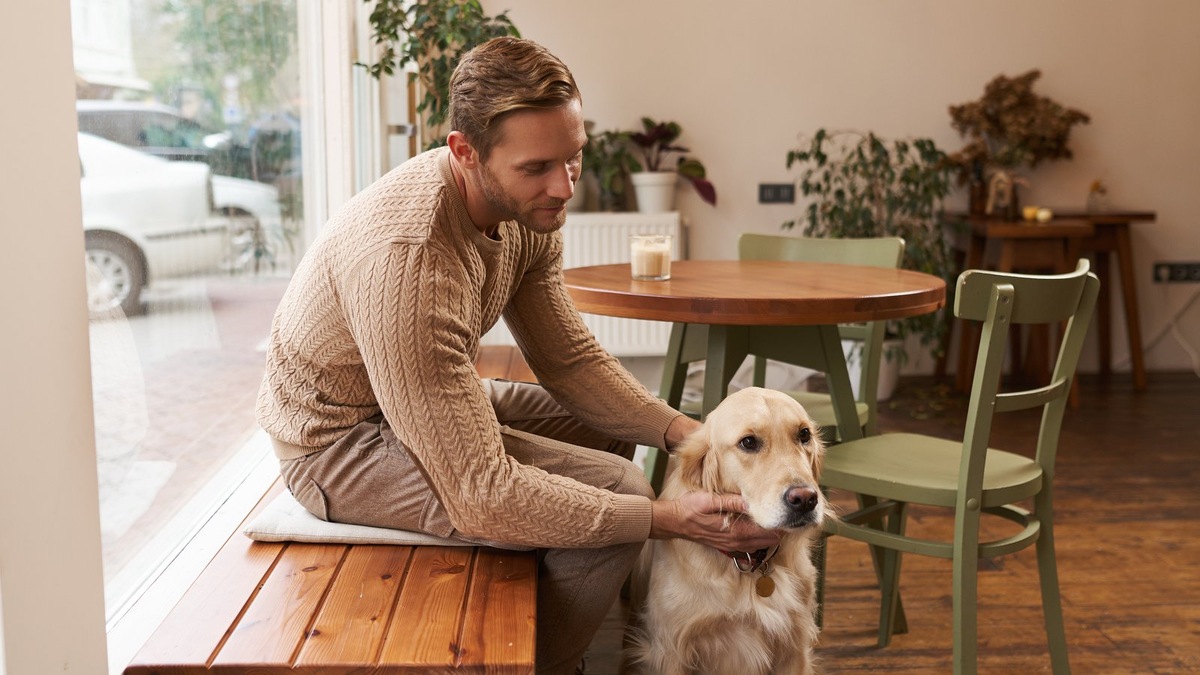    Посещение дог-френдли кафе — это возможность провести время с питомцем, но важно знать установленные правила