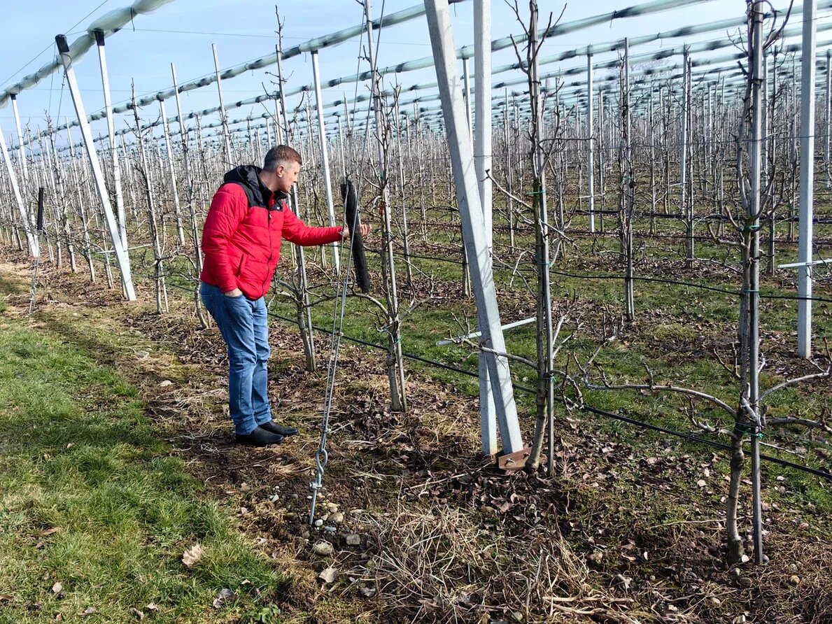 Фото 1, 2, 3 Натальи Мироновой