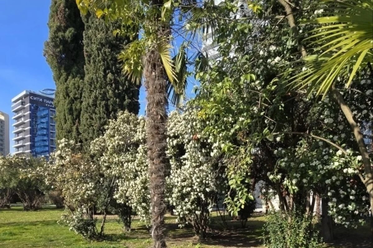    Загрузка сочинских отелей на выходные к 8 марта превысила 60 %