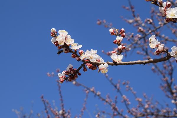    Фото Елены Врублевской admin