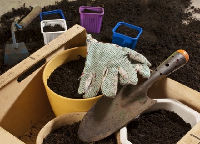 Без подходящей почвы для рассады капусты трудно рассчитывать на хороший результат