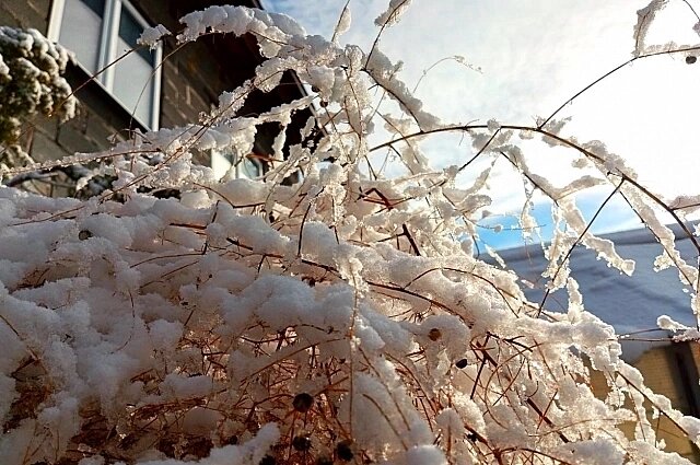    Март в Омске — ещё зимний месяц. Фото: АиФ/ Евгения Гаева
