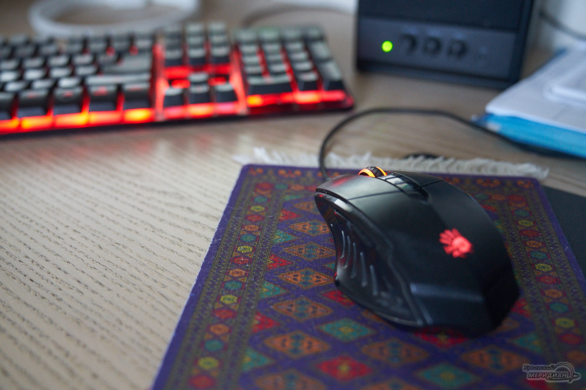    Фото: Лидия Аникина © ИА «Уральский меридиан»