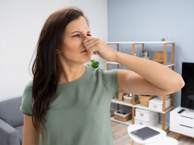    Фото: 123RF.com/andreypopov