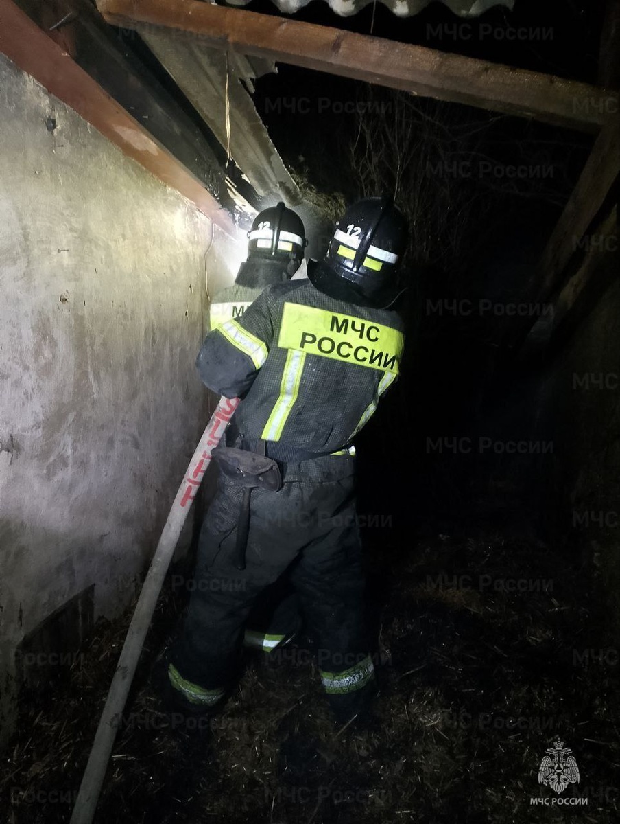    Фото: ГУ МЧС России по Херсонской области