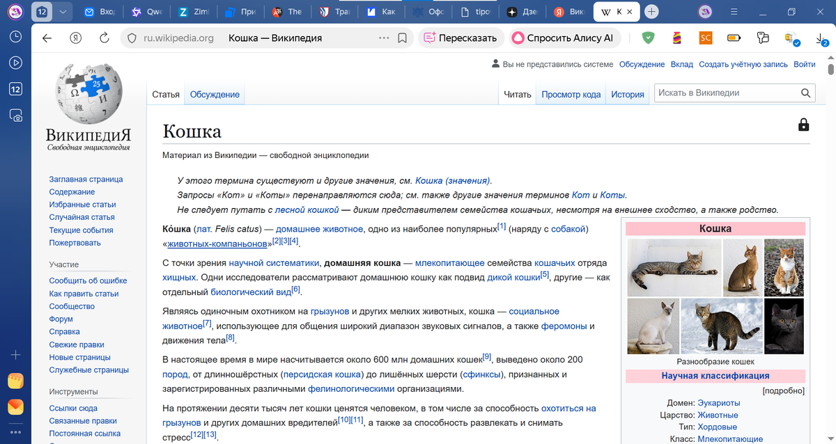 Информация о кошках в Википедии на март 2026 года