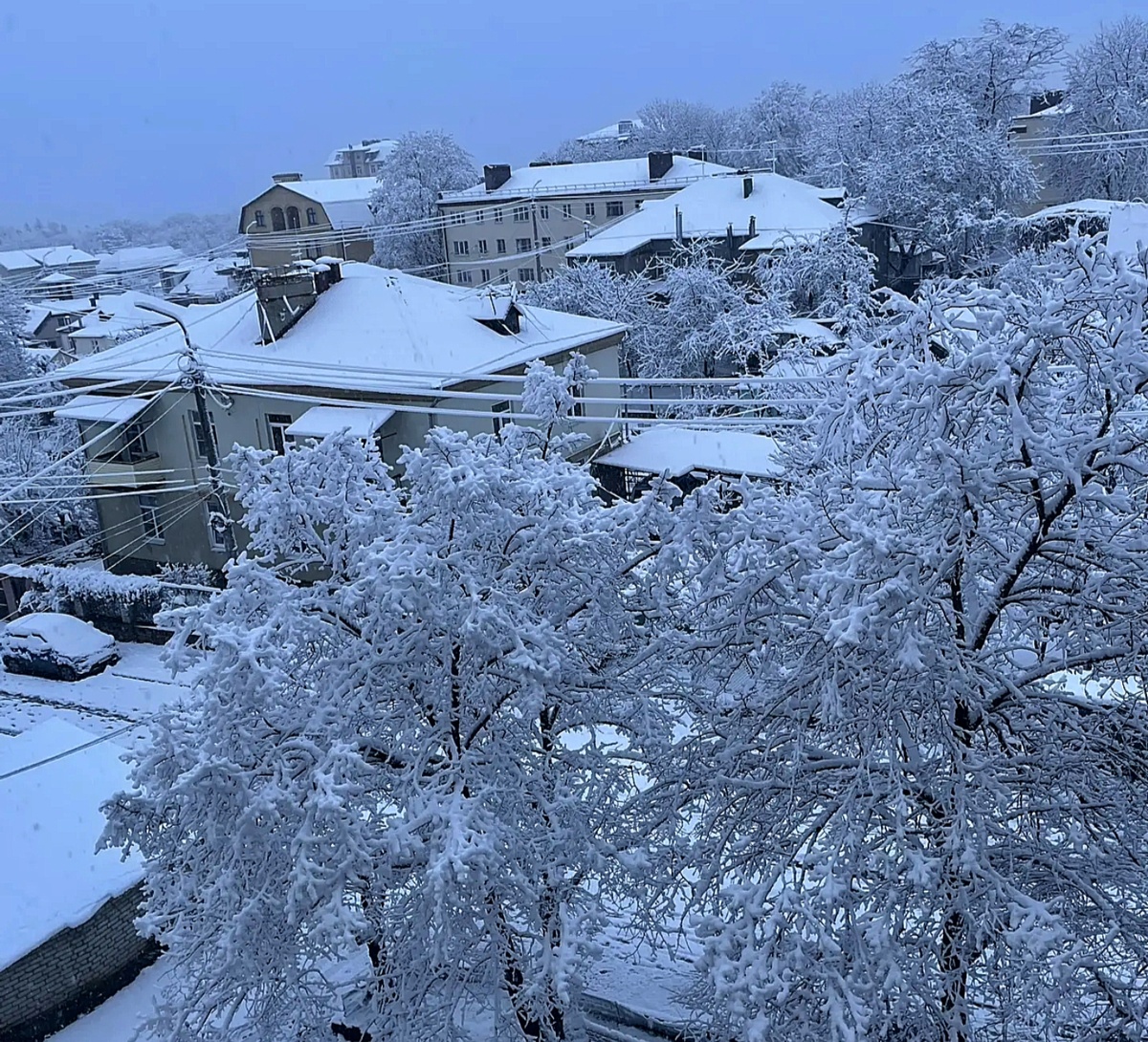 Фото автора.