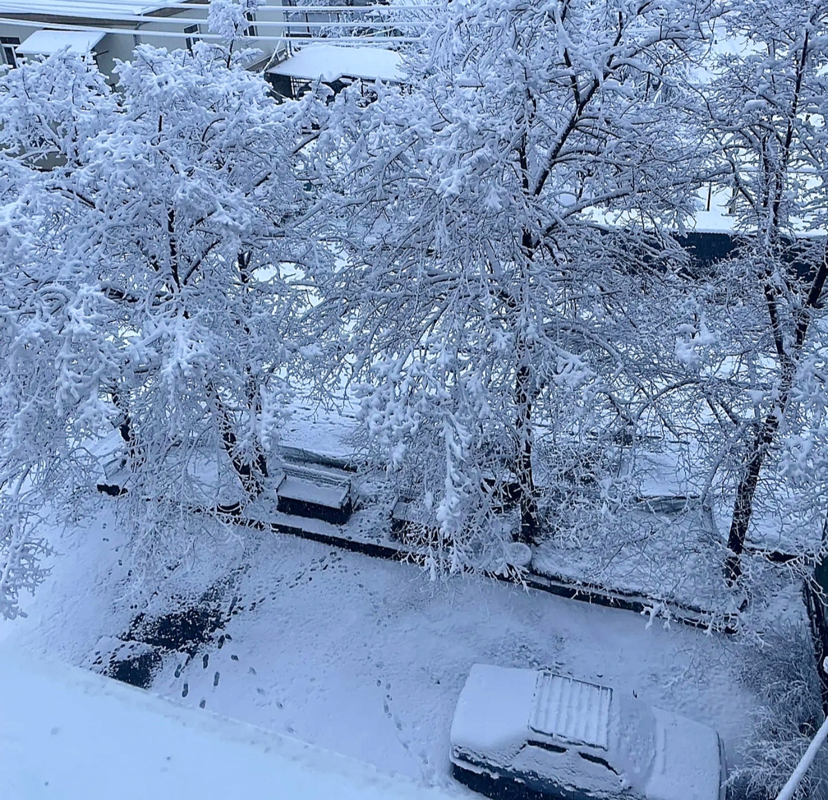 Фото автора.