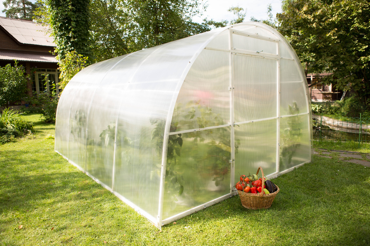 Теплица из сотового поликарбоната АКТУАЛЬ!Био