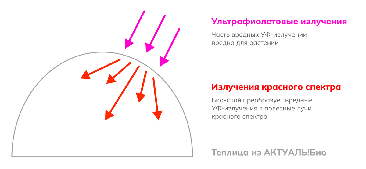Иллюстрация принципа работы Био-слоя в АКТУАЛЬ!Био на примере теплицы