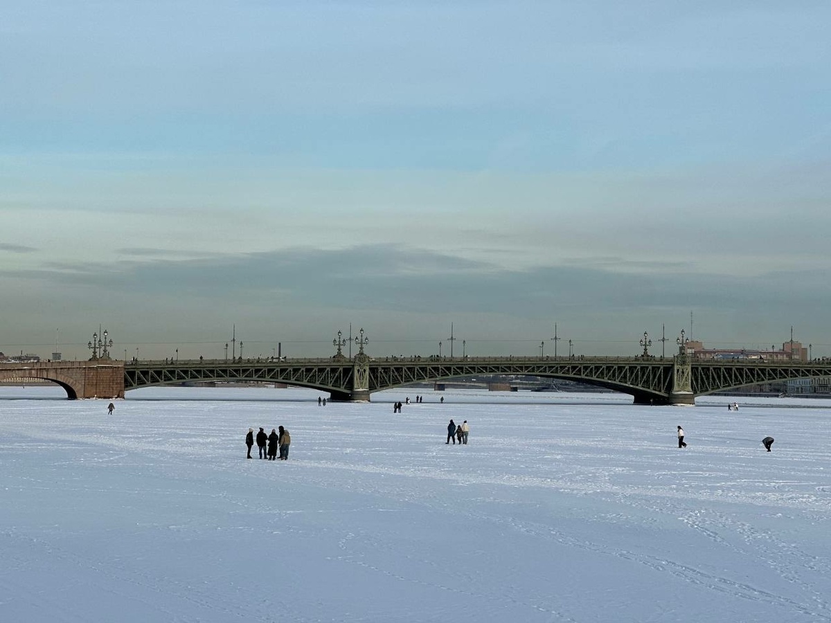     Фото: "Бриф24"