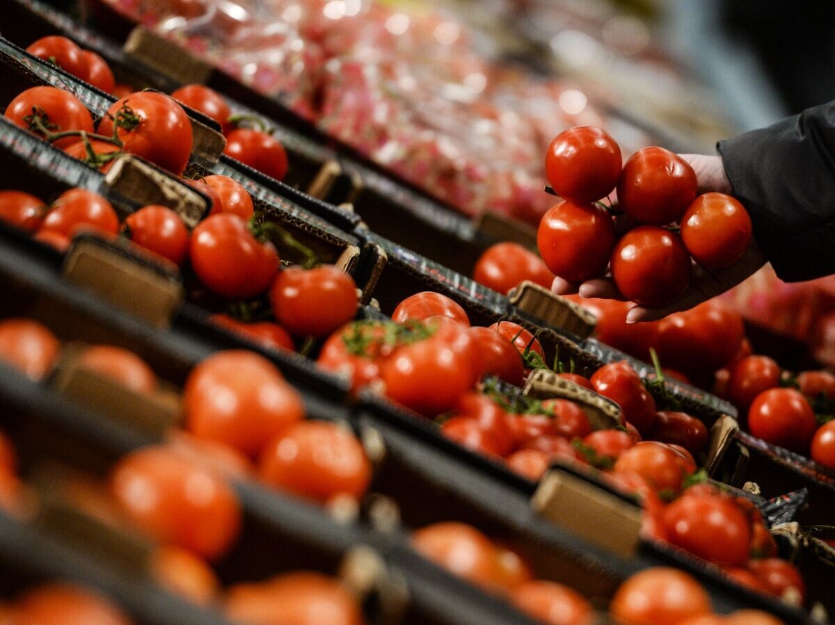    Помидоры в супермаркете© РИА Новости . Константин Чалабов