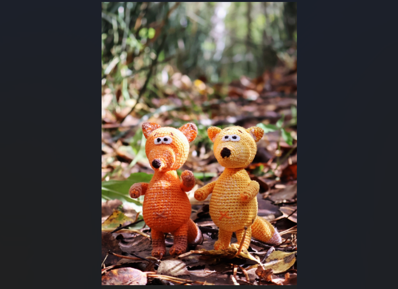 Картинка 1. Как пример - фото двух лис на фоне лесной тропинки. Тут даже неидеально по контрасту, но нейросеть справилась.