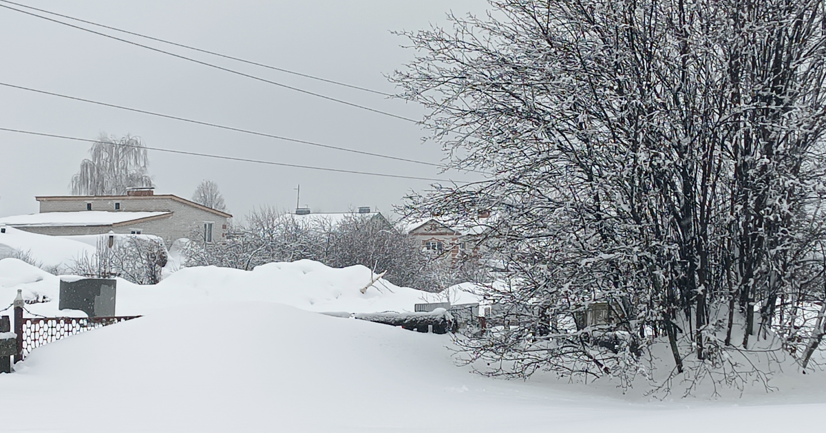Фото нашего читателя "Ибрагимыч". Весенняя сказка.