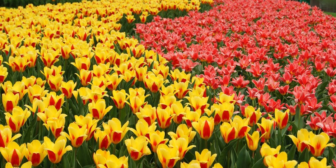 А что, уже четвертый день весны на дворе?