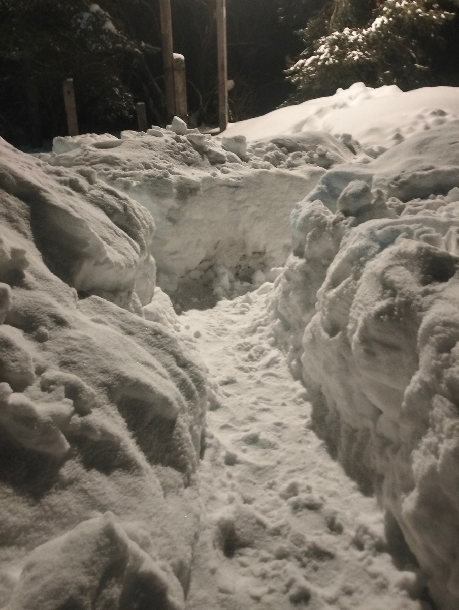 Вот сколько снега