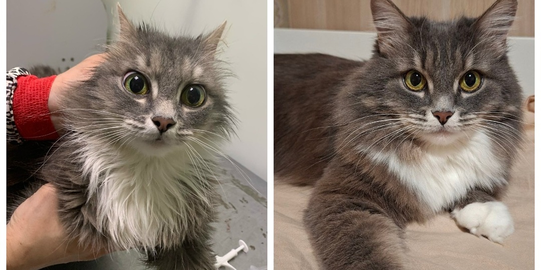 До и после: от безнадёги к счастью